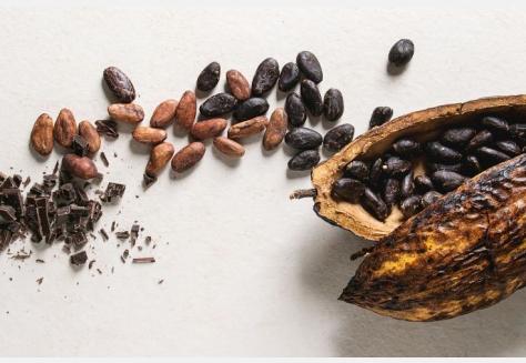 Cacao: Een veelzijdige, kostbare boon boordevol nutriënten 